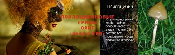 трава Вязьма